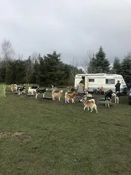 Nandalee Camping