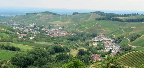 Wiesencamp Wörner