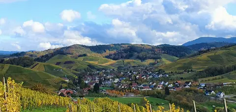 Wiesencamp Wörner