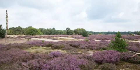 Ullingse Bergen