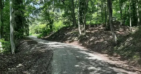 Wohnmobilstellplatz am Badesee Windgfällweiher