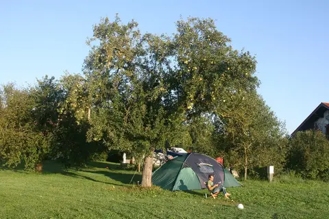 Mini Hof Sommer