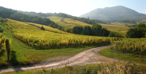 Domaine Wassler Parking Camping Cars