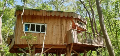 Camping de Reeënwissel
