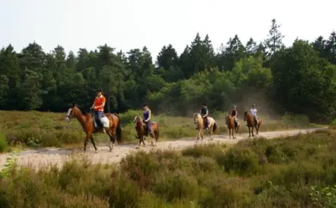 Camping de Reeënwissel