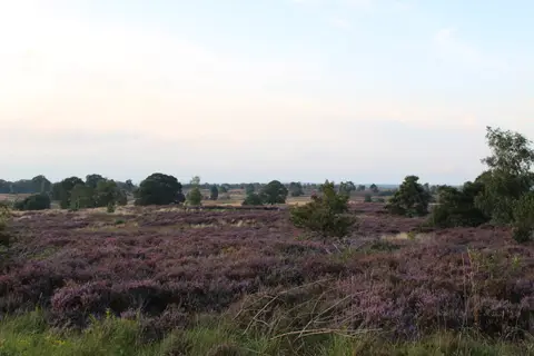 Camperplaats De Bosweide