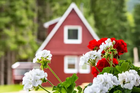 Erzgebirgsidyll Breitenbrunn