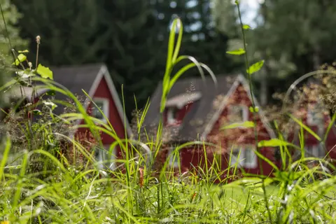 Erzgebirgsidyll Breitenbrunn