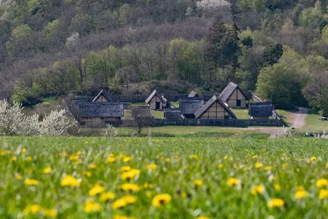 Reisemobilstellplatz Schneppenbach