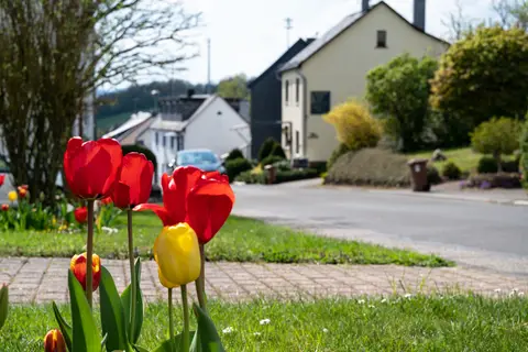 Reisemobilstellplatz Schneppenbach