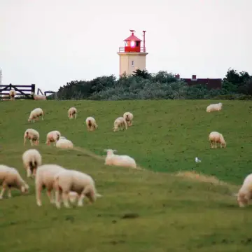 WoMo Camping Südstrand Fehmarn