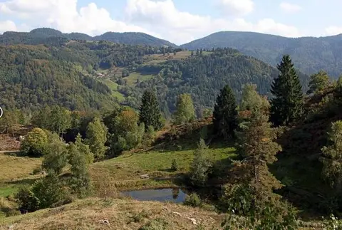 Wohnmobil Stellplatz Schönau im Schwarzwald
