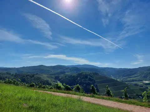 Stellplatz am Winzerhof