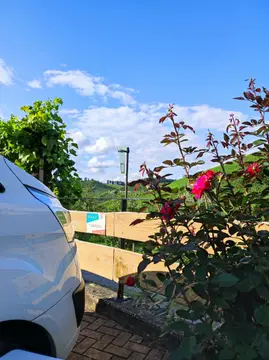 Stellplatz am Winzerhof