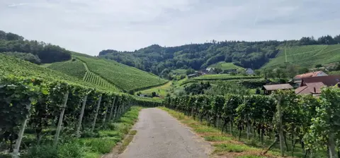 Stellplatz am Winzerhof
