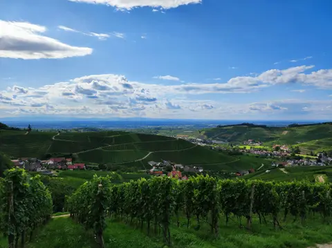 Stellplatz am Winzerhof