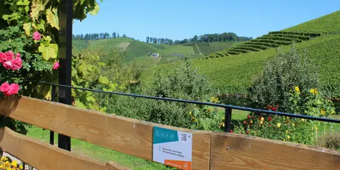 Stellplatz am Winzerhof