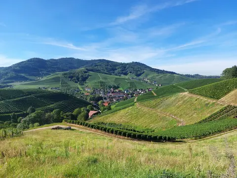 Stellplatz am Winzerhof