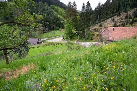 Serrerhof im Schwarzwald