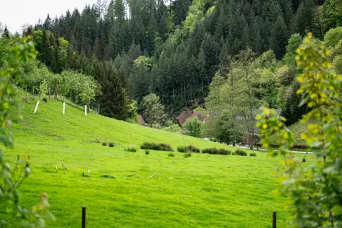 Serrerhof im Schwarzwald