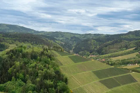 Serrerhof im Schwarzwald