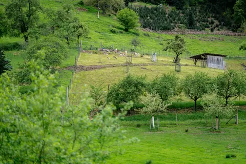 Serrerhof im Schwarzwald
