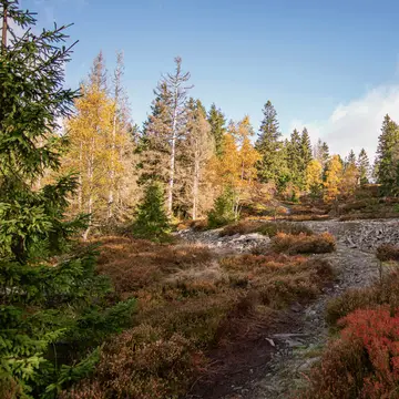 Camping an der Fellbergbaude