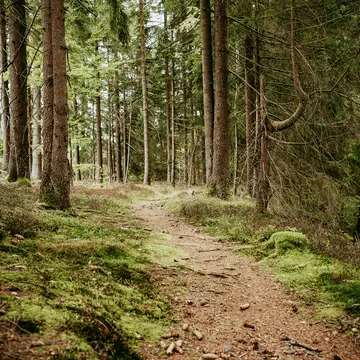 Camping an der Fellbergbaude