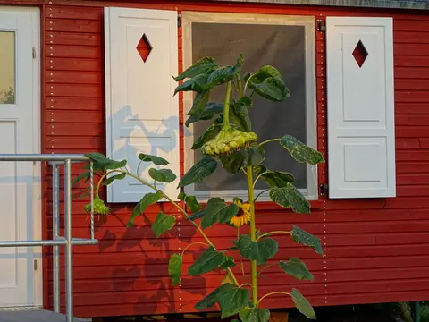 Radlerhof Aurith