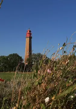 Ferienhof Scheel Campingwiese