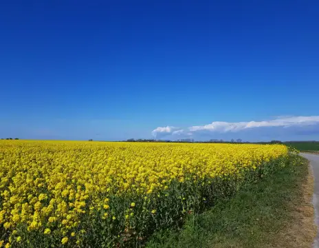 Ferienhof Scheel Campingwiese