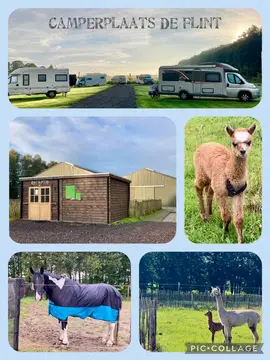 Camperplaats De Flint