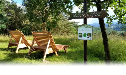 Wohnmobilstellplätze am Aquarena