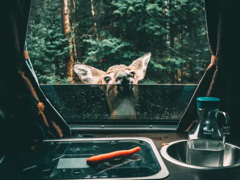 Wohnmobilstellplatz am Hundweilerhof