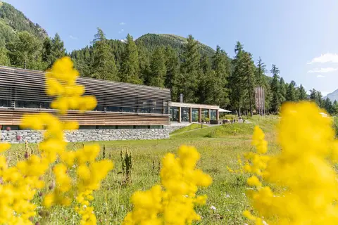 Camping Gravatscha