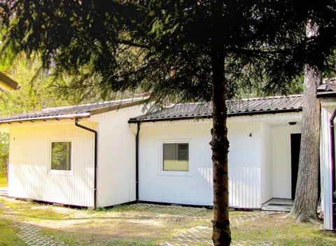 Star-Camp
