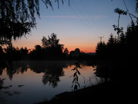 Spatzenweiher