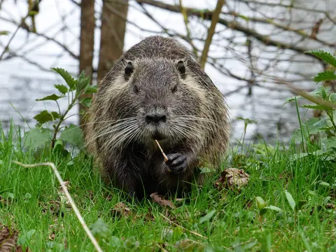 raus und gut: casel