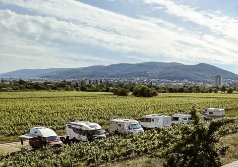 Weingut Schäfer-Mußbach