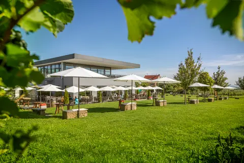 Weingut Ökonomierat Isler Reisemobilstellplätze