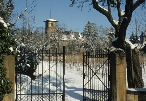 Weinhaus Villa Gießen
