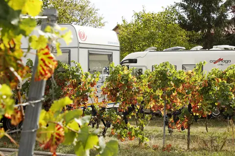 Weingut Felix Schädler Stellplatz