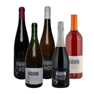 Wohnmobilstellplatz Weingut Hahn-Hof