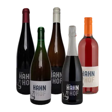 Wohnmobilstellplatz Weingut Hahn-Hof