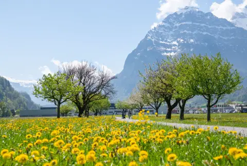 Zelt- und Campingplatz Obersee