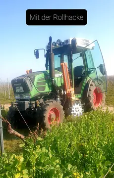 Weingut Borntaler Hof