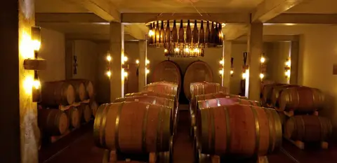 Weingut Seck Wohnmobile