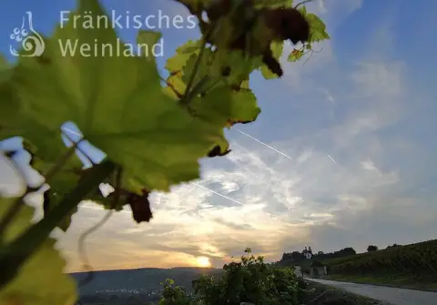 Wohnmobilstellplatz Astheim