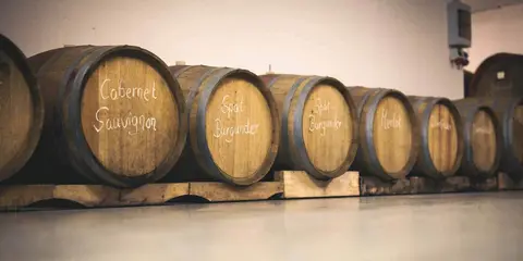 Weingut Philipp Schnabel Stellplatz-Wiese