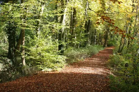 Wohnmobilstellplatz Fredelsloh Am Hainberg